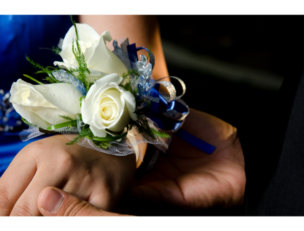 Proms Image 2